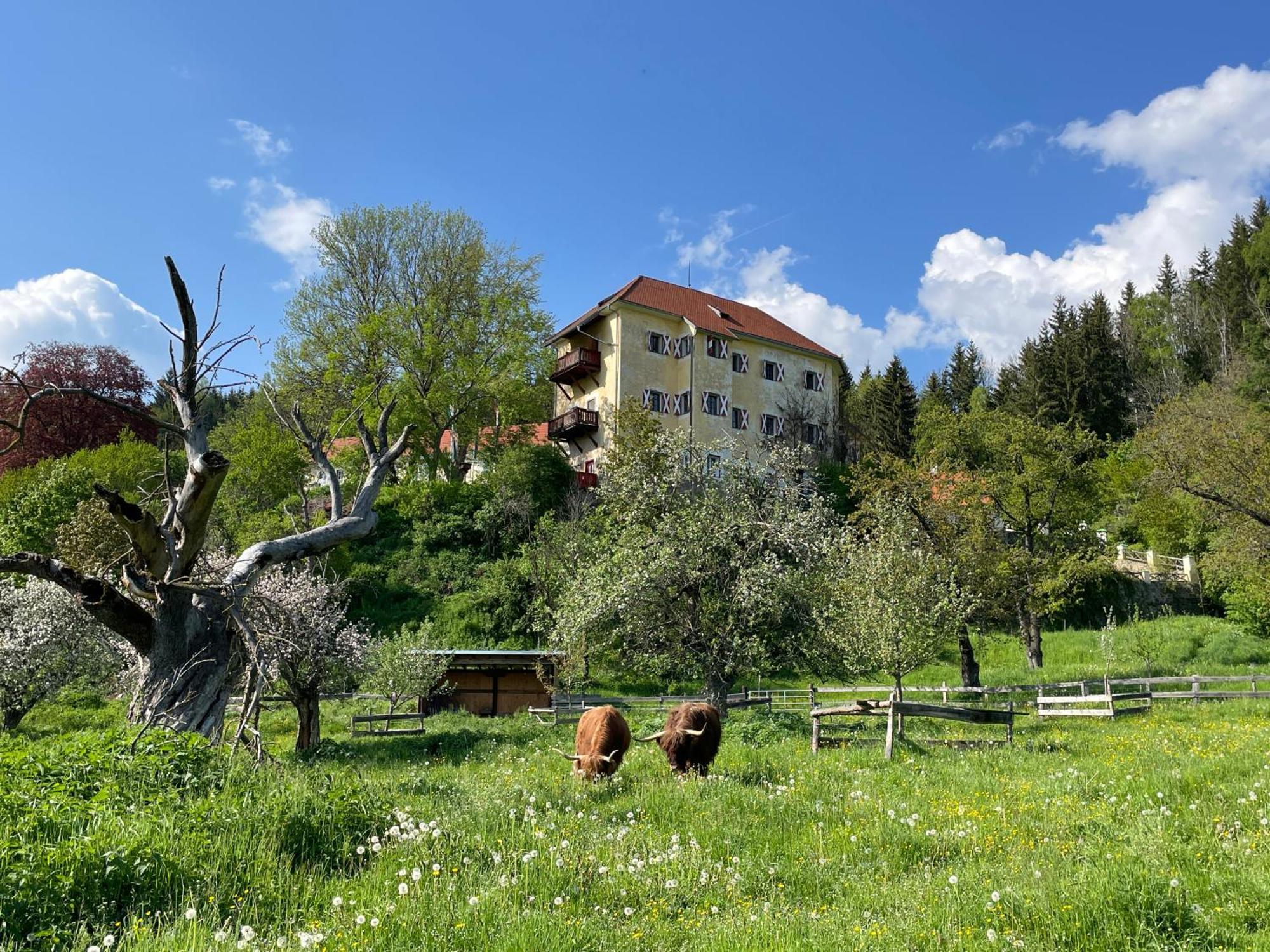 Hotel Landsitz Pichlschloss Neumarkt in Steiermark Екстериор снимка